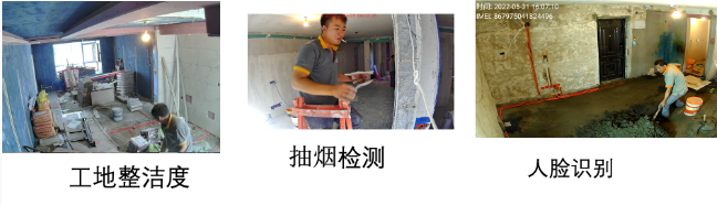 AI算法检测